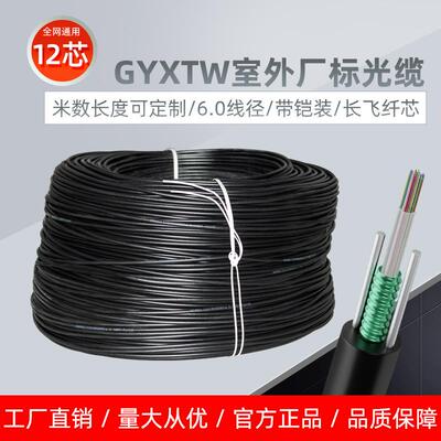 4芯光缆线室外单模6芯8芯12芯铠装GYXTW四六芯户外中心束管光纤线