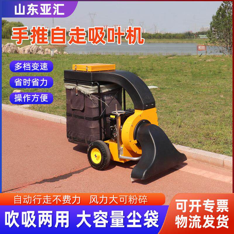 自走式吸叶机现货 园林落叶吸尘器 园林公园用树叶收集器