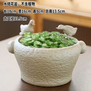 水培器皿无孔铜钱草花盆陶瓷大号一叶莲碗莲睡莲盆缸水培植物容器