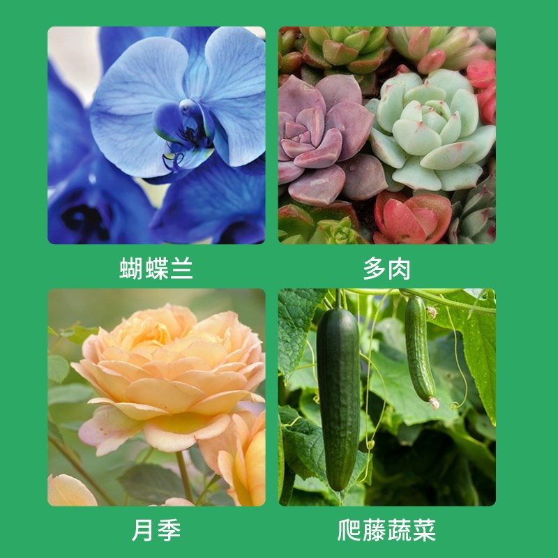 西红柿番茄专用支撑杆园艺花架爬藤支撑杆放倒伏支架防倒固定支架