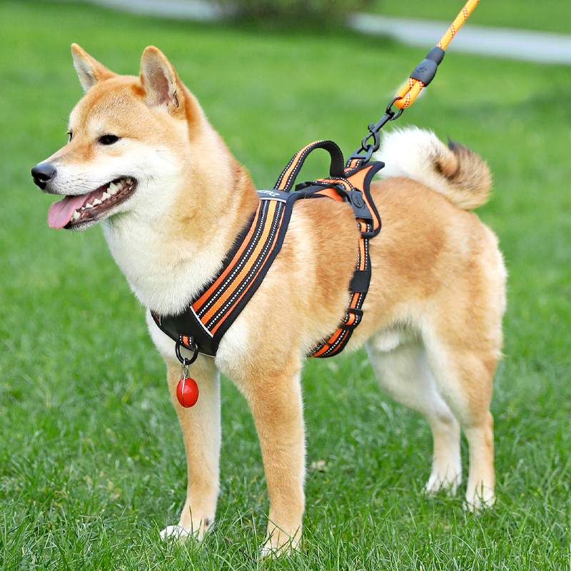 狗狗牵引绳中型犬柴犬柯基背心式胸背大型犬金毛防爆冲遛狗绳狗链