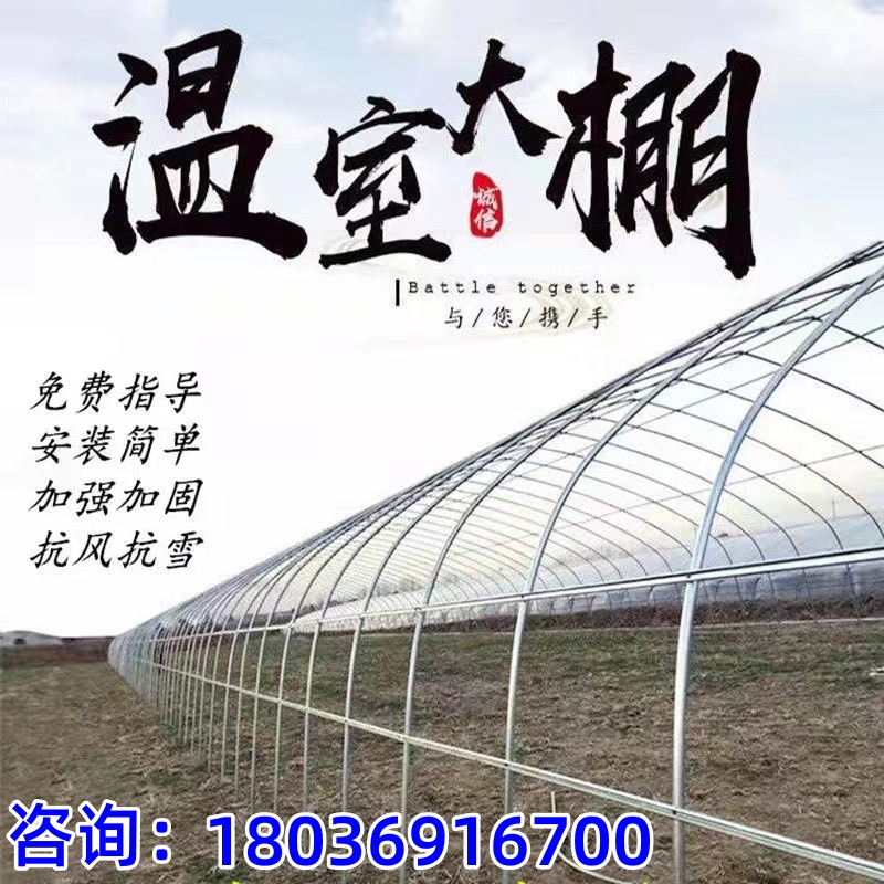 温室大棚骨架钢管养殖种植全套猪鸡舍钢架家用连栋配件简易蔬菜棚