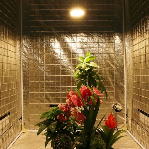 30W 50W 80W 100W 太阳光全光谱LED植物补光灯E27白光多肉花卉灯