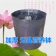 荷花盆加厚一次性黑色塑料无孔碗莲盆水生植物育苗盆睡莲盆营养钵