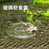 玻璃虾喂食盆水晶虾观赏螺饲菜料盘沉底鱼食菠爬宠虾碗鱼缸水族用