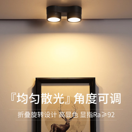 明装筒灯圆形led天花灯极简客厅吊灯可调角度照明双头防眩光射灯