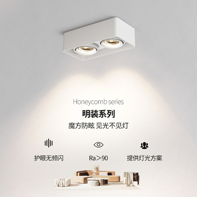 至御双头射灯明装斗胆灯客厅超薄卧室吸顶灯盒子灯明装射灯105B