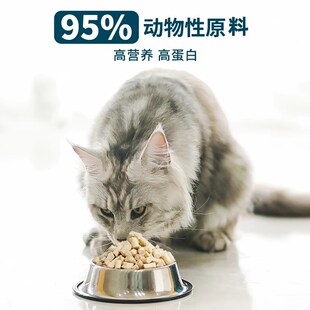 鲜朗无谷冻干生骨肉全价猫粮主食奶糕幼猫成猫兔肉试吃装12g*3包