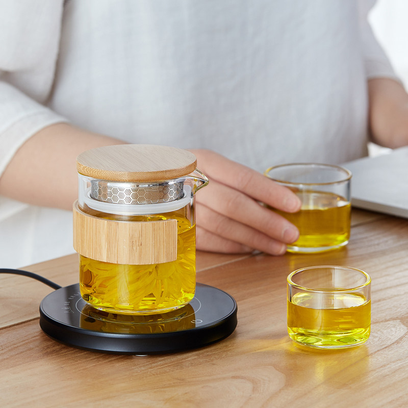 美斯尼玻璃茶壶功夫茶具套装户外便携旅行茶具一壶二杯快客杯家用