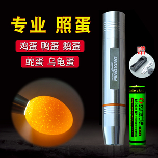 强光手电筒便携迷你家用孵化照蛋器SUB充电超亮LED灯多功能照玉器