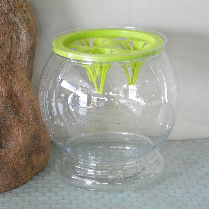 二套装水培透明塑料懒人花盆定植蓝三孔虎皮兰发财树富贵观音竹盆