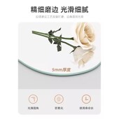 轻奢化妆镜带灯梳妆镜酒店卧室壁挂美妆补光镜led智能梳妆台镜子