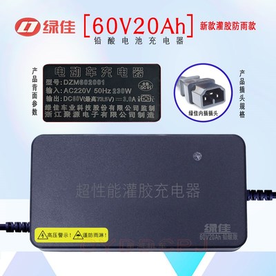 绿佳电动车充电器DZM6020 60V20Ah 3A铅酸电池充电器内插式L短接