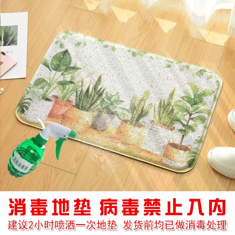入户门地垫门垫进门脚垫大门口丝圈地毯蹭脚客厅卧室浴室防滑垫