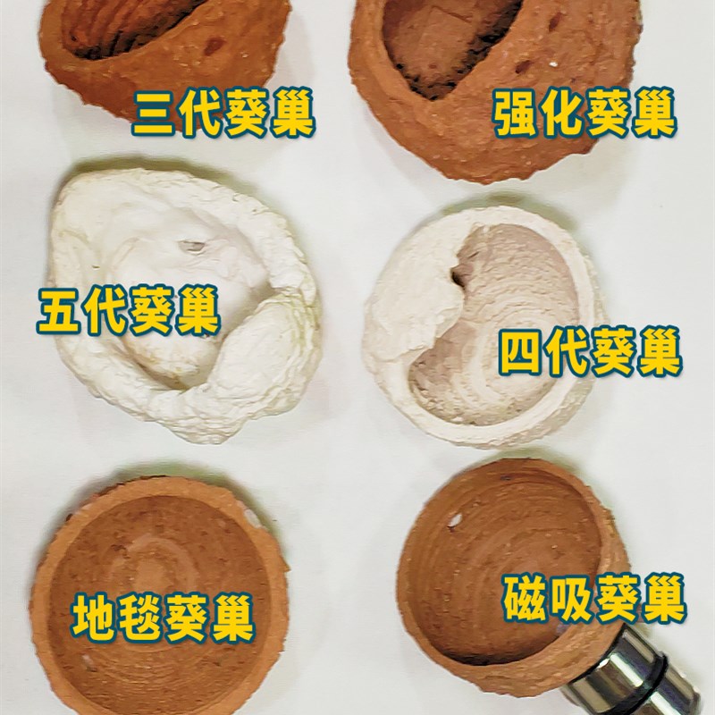 皇海葵巢奶嘴杯防跑神器窝家屋珊瑚罐子鱼缸造景装饰海葵窝固定黄