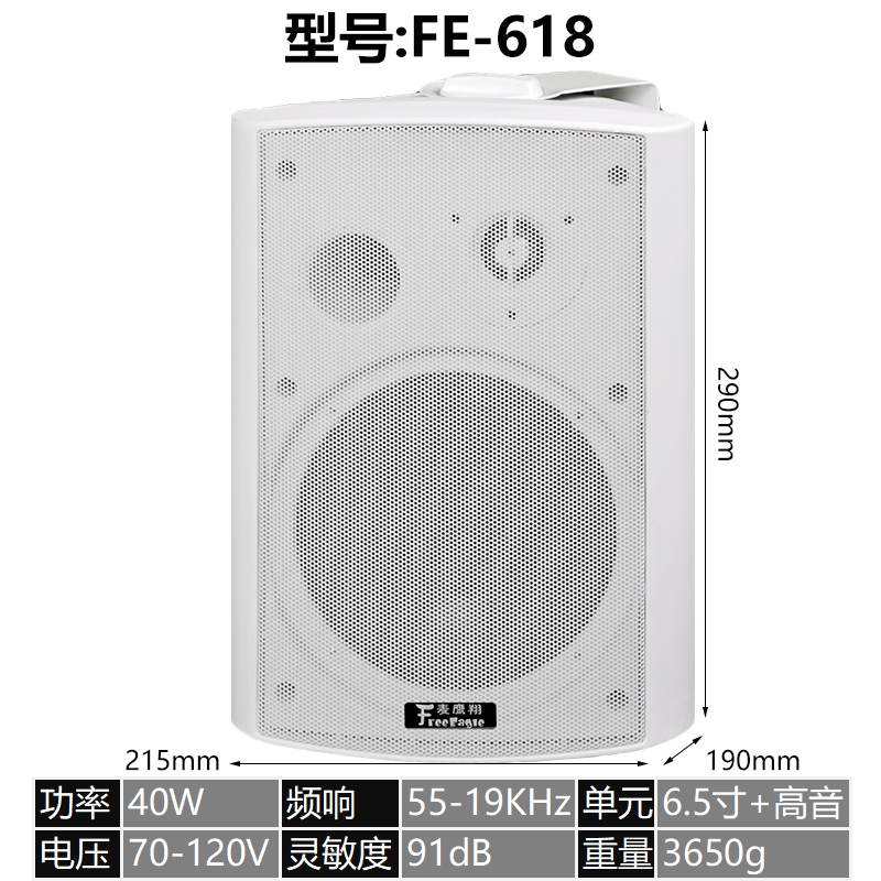 壁挂音响音箱店铺用挂墙式室内室外环绕挂壁式家用喇叭餐厅会议室