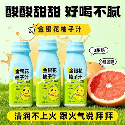 【现货速发】金银花柚子汁220ml*10瓶秋冬婴幼儿酸甜新鲜健康饮品