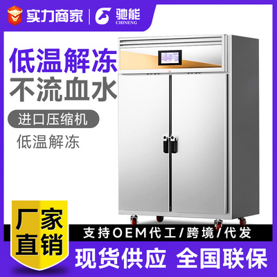 驰能智能解冻柜商用抑菌冷藏保鲜不锈钢立式大容量生鲜牛猪肉解冻