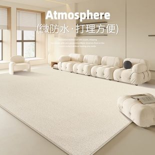 满铺防水可擦免洗免打理沙发茶几毯家用地垫 地毯客厅卧室2024新款