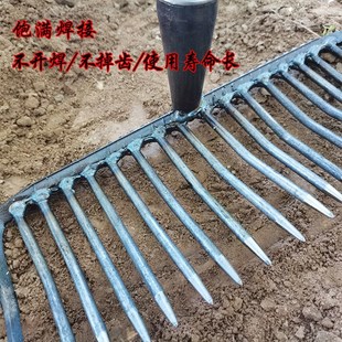 搂石子蛤蜊密齿耙子加密赶海耙子搂草搂树叶平地松土特厚农用细齿