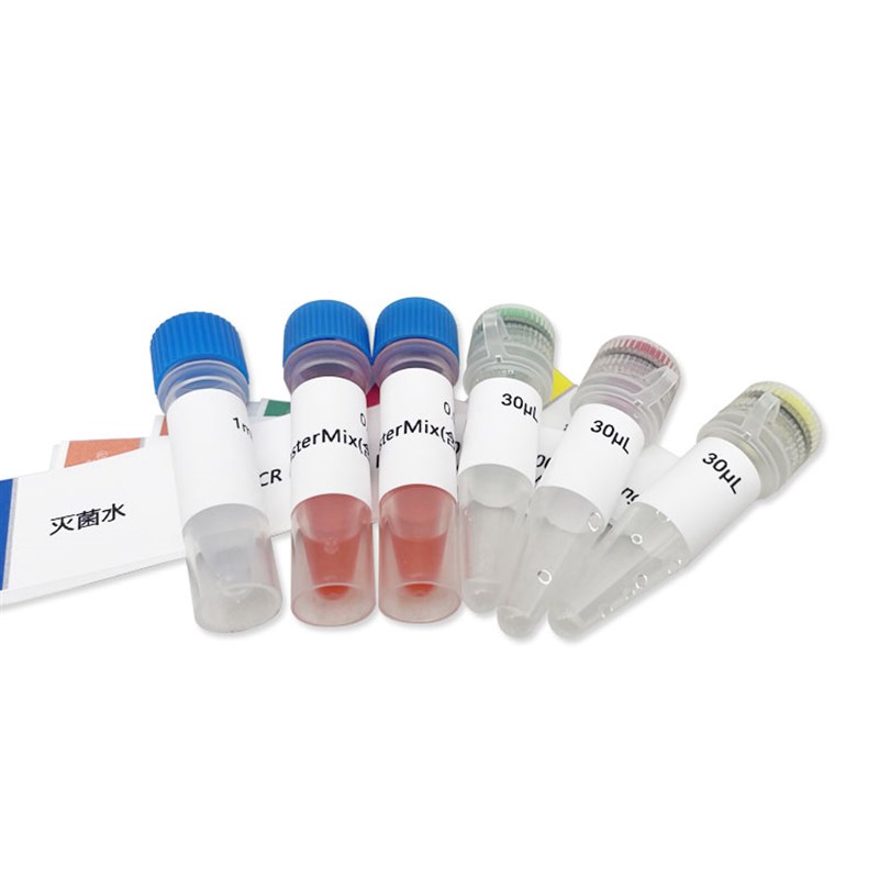 PCR反应试剂盒(2000bp)  PCR试剂盒 20T PH0122 PHYGENE