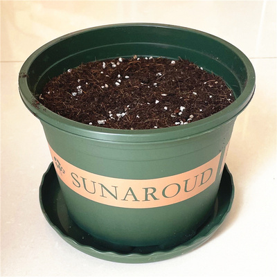 花盆加营养土带土树脂加仑盆和泥土塑料种球绿植花卉月季多肉