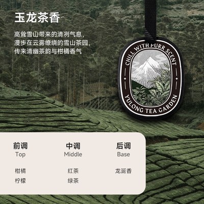【玉龙茶香12片装】黑标车载香薰片香片衣柜香氛持久留香去除异味