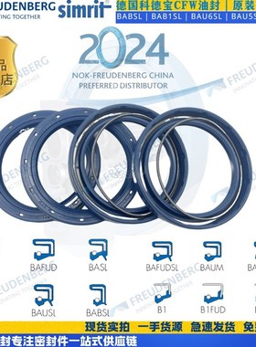 德国FW高压丁晴氟胶油封内径2m油封密封圈大全尺寸齐全
