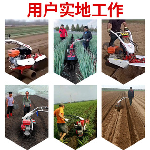 沟大葱姜甘蔗培土农业用手扶小型旋耕除草上土垄