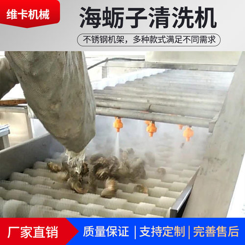 维卡机械生蚝全自动清洗机 贝壳类清洗设备 厂家直供海蛎子清洗机