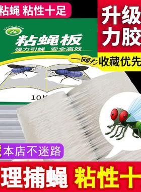 苍蝇贴纸板强力灭蝇诱杀蚊子克星捕捉器家用一扫光自带诱捕ST193