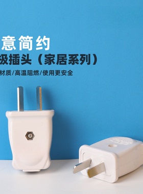 二极固定式插头10A固定两脚接线插头白色电源家用工业插头WTS353