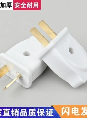 家用工业插头二脚纯铜插脚白色两脚插头固定不带线电器插头WTS309