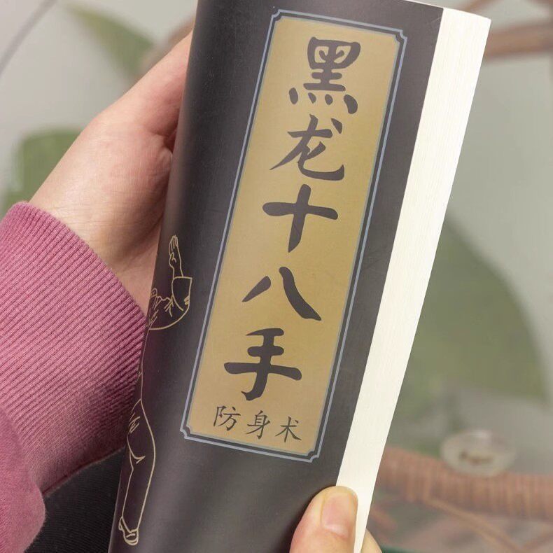黑龙十八手 军体拳格斗基本功招式实战应用 - 实物图