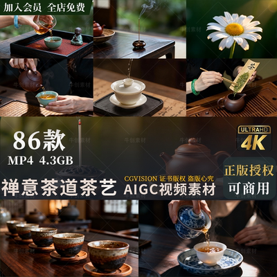 可商用中式禅意茶道茶艺沏茶喝茶茶文化抖音自媒体高清4K视频素材