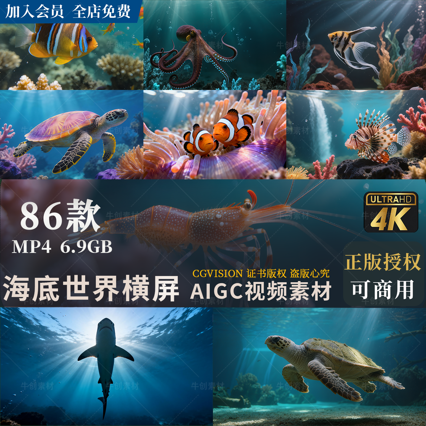 可商用海底世界深海生态水母鲸鱼海龟热带鱼珊瑚礁4K视频剪辑素材