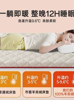 羊羔绒厚加垫软垫床冬加厚羊羔绒qf29垫子垫被铺底50x200床可定垫