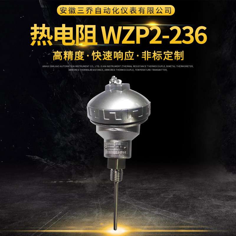 双支热电阻WZP2-236 工业仪表双支热电阻 分度号PT100 可加工生产