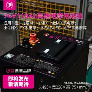 鹿研74V113Ah高速电摩动力锂离子电池组 九号小牛极核 30天后发货