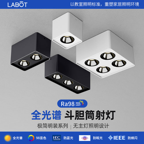 单头头头格栅明装全光谱防眩光客厅卧室免