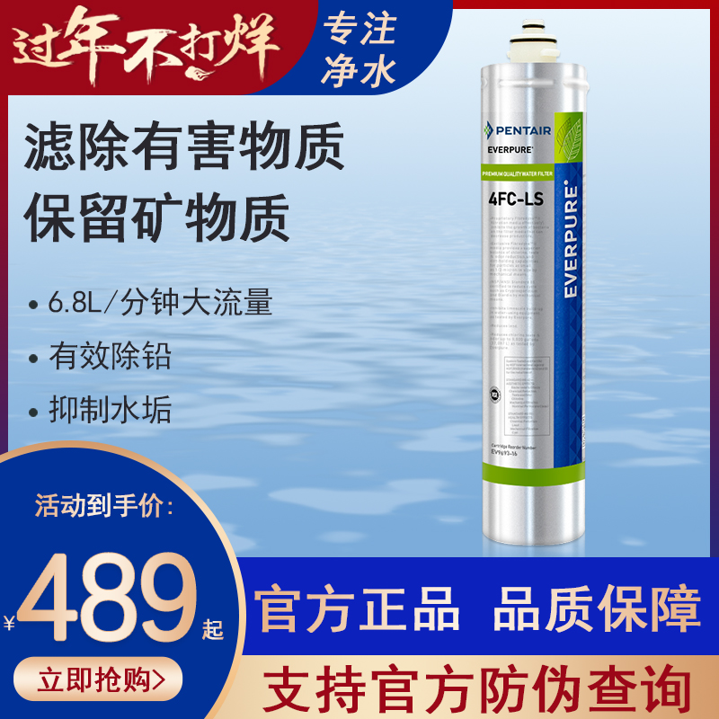 爱惠浦净水器主滤芯4FC-LS直饮净水器滤芯/爱惠浦4FC-L主滤芯