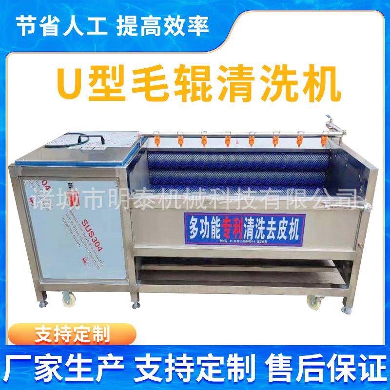 中药材白芷U型毛辊清洗机桔梗黄精清洗去皮机柠檬百香果洗果机