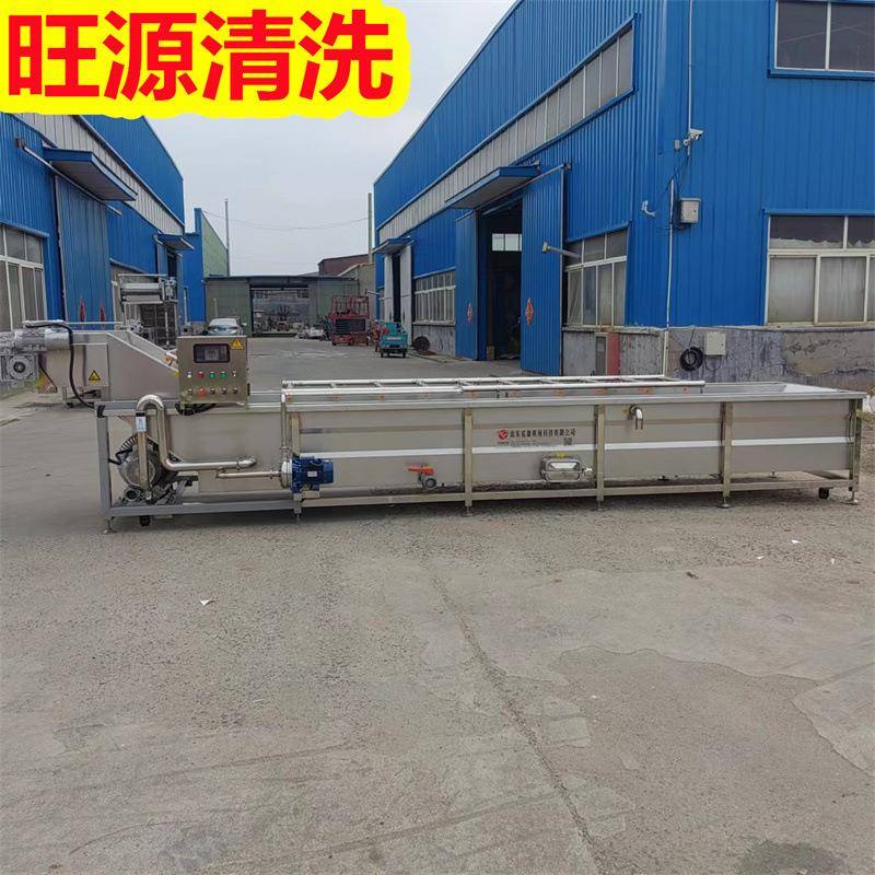 厂家供应果蔬气泡清洗机多功能气泡清洗设备连续式洗果机