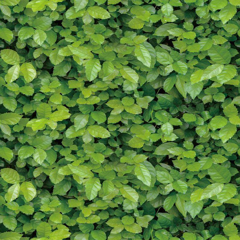 草坪墙壁纸翻新店铺清新绿叶餐厅饭店客厅背景墙贴自粘防水