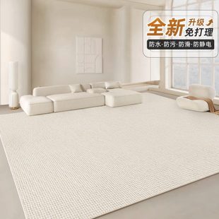 沙发垫免洗可擦轻奢高级感房间地毯卧室地毯家用 地毯客厅2024新款
