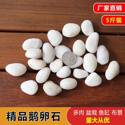 白色鹅卵石铺路铺地庭院园林造景天然大小石头雨石小白石子