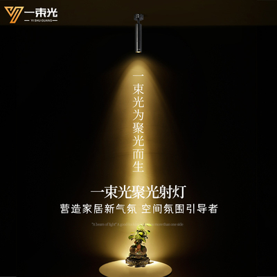 一束光聚光射灯4000K中性光明装餐厅茶室桌面古玩玉器摆件轨道灯