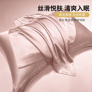 夏季 天丝枕套40cmx65cm48x74厘米冷凉H感品牌高级枕头套一对2只装