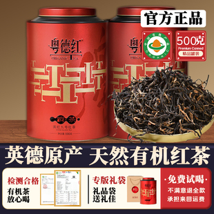 英德有机红茶新茶英红九号英德浓香秋茶型茶叶罐装口粮茶工夫红茶