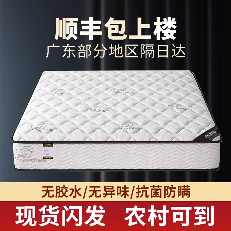 席梦思床垫软硬两用20cm经济型家用乳胶海椰棕马弹簧床垫租房专用
